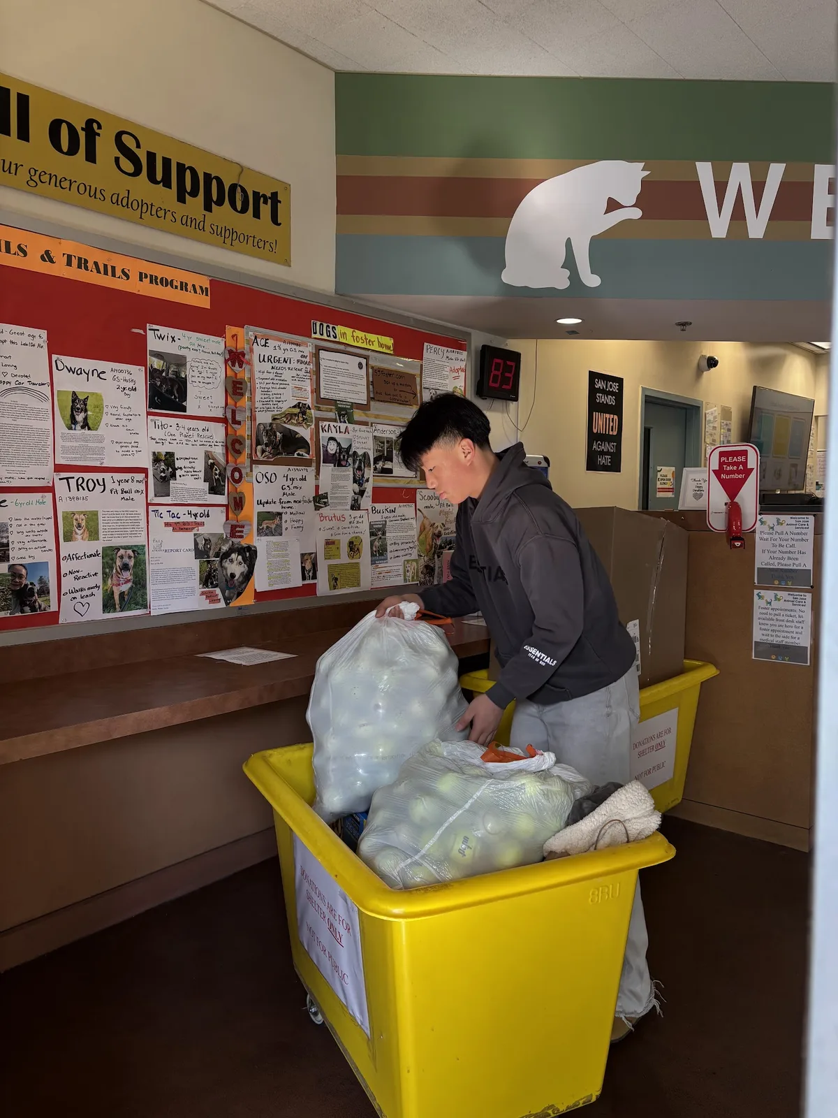 Bags of tennis balls being unloaded into an intake bin at an animal shelter front desk