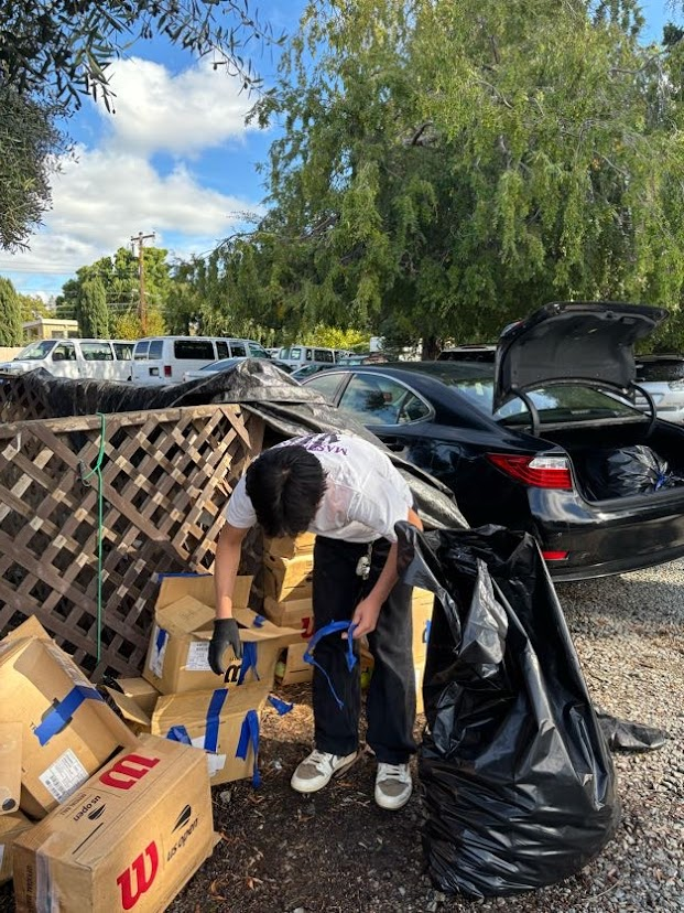 Bounce Back project photo